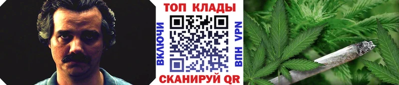 Купить закладку Николаевск Псилоцибиновые грибы  Канабис  COCAIN  Меф  Гашиш 