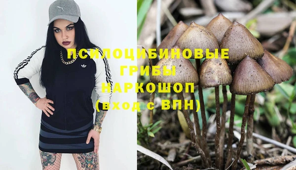 прущая мука Арсеньев