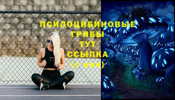 прущая мука Арсеньев