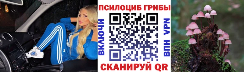 наркошоп  Николаевск  Галлюциногенные грибы GOLDEN TEACHER 